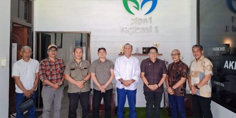 JMSI Sumut dan Regional I PTPN I Siapkan Workshop “Menggali Kejayaan Tembakau Deli”